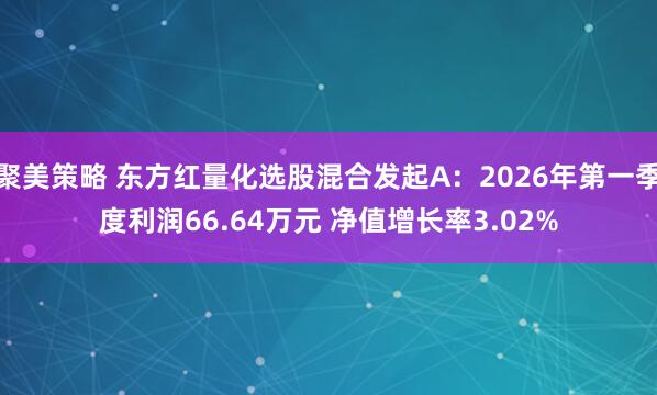 聚美策略 东方红量化选股混合发起A：2026年第一季度利润66.64万元 净值增长率3.02%